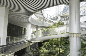 Commercial Cleaning Service